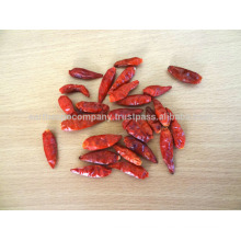 Peperoncino Chilli Without Stem